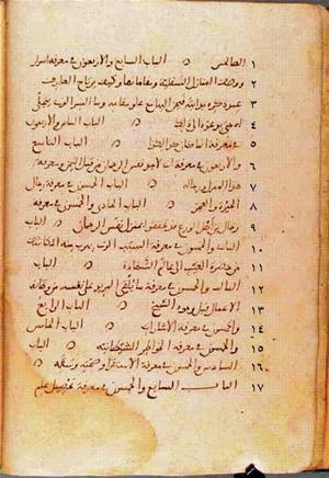 futmak.com - Meccan Revelations - page 39 - from Volume 1 from Konya manuscript