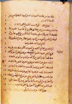 futmak.com - Meccan Revelations - page 259 - from Volume 1 from Konya manuscript
