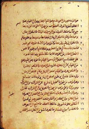futmak.com - Meccan Revelations - page 332 - from Volume 2 from Konya manuscript