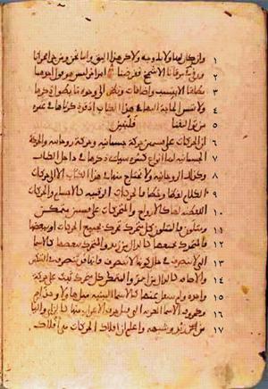 futmak.com - Meccan Revelations - page 333 - from Volume 2 from Konya manuscript