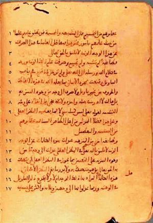 futmak.com - Meccan Revelations - page 343 - from Volume 2 from Konya manuscript