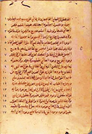 futmak.com - Meccan Revelations - page 347 - from Volume 2 from Konya manuscript
