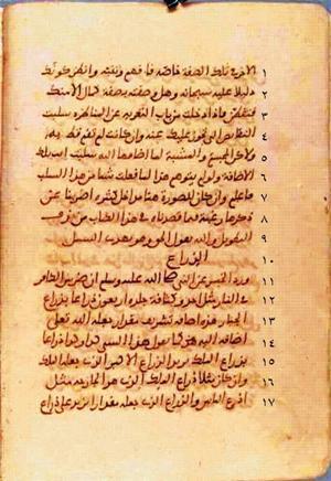 futmak.com - Meccan Revelations - page 383 - from Volume 2 from Konya manuscript
