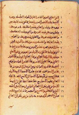 futmak.com - Meccan Revelations - page 393 - from Volume 2 from Konya manuscript