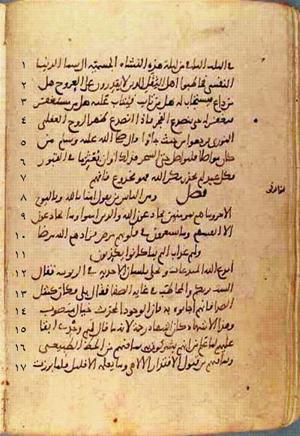 futmak.com - Meccan Revelations - page 457 - from Volume 2 from Konya manuscript