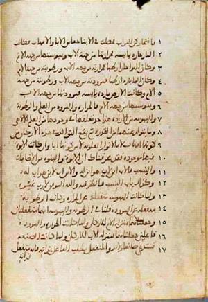 futmak.com - Meccan Revelations - page 561 - from Volume 2 from Konya manuscript
