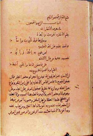 futmak.com - Meccan Revelations - page 1123 - from Volume 4 from Konya manuscript