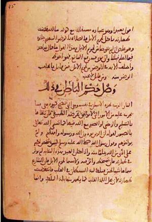 futmak.com - Meccan Revelations - page 1446 - from Volume 5 from Konya manuscript