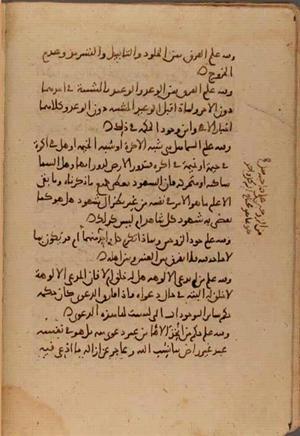 futmak.com - Meccan Revelations - page 7161 - from Volume 24 from Konya manuscript