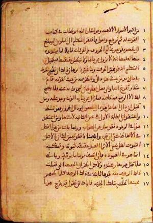 futmak.com - Meccan Revelations - Page 336 from Konya Manuscript