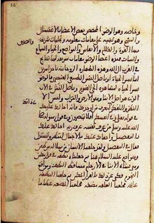 futmak.com - Meccan Revelations - Page 1340 from Konya Manuscript