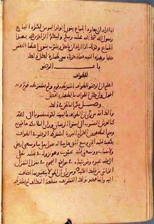 futmak.com - Meccan Revelations - Page 1455 from Konya Manuscript