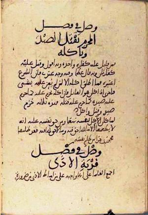 futmak.com - Meccan Revelations - Page 3137 from Konya Manuscript