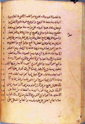 futmak.com - Meccan Revelations - Page 223 from Konya manuscript